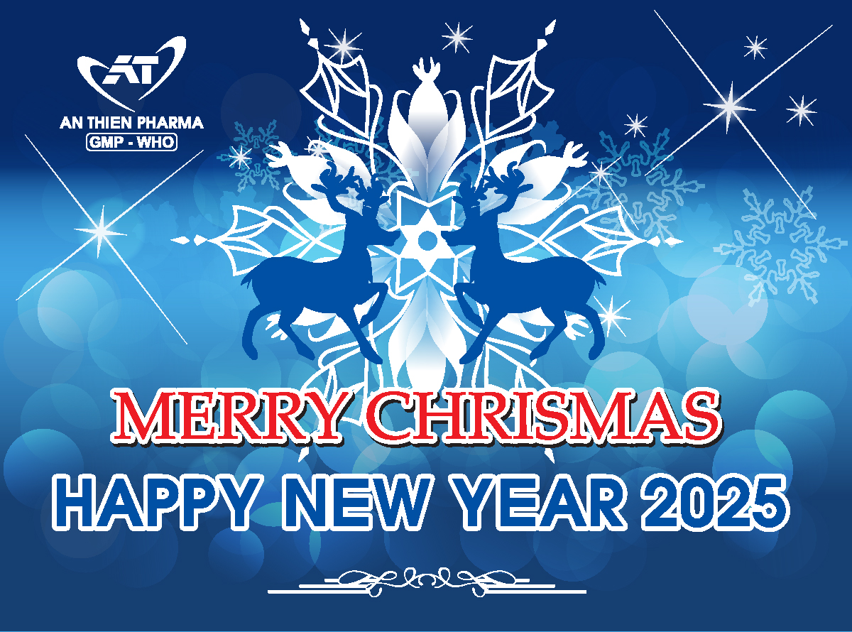  MERRY CHRISTMAS AND HAPPY NEW YEAR 2025